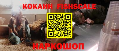 крисы Партизанск
