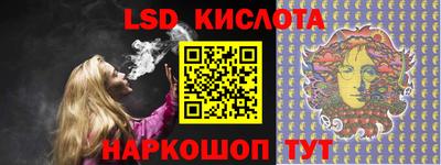крисы Партизанск