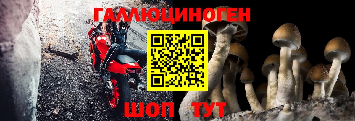 Наро-Фоминск  Галлюциногенные грибы мухоморы  Вход с VPN  Галлюциногенные грибы Psilocybine cubensis 